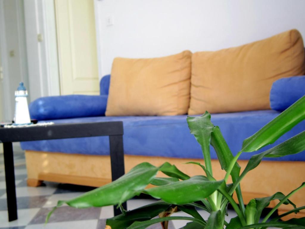 Apartments Capitano Blue 扎通 客房 照片
